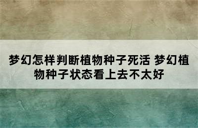 梦幻怎样判断植物种子死活 梦幻植物种子状态看上去不太好